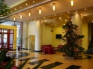 Hotel Hotel Parc | Cazare Alba Iulia